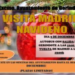 VIAJE A MADRID NAVIDEÑO 2018